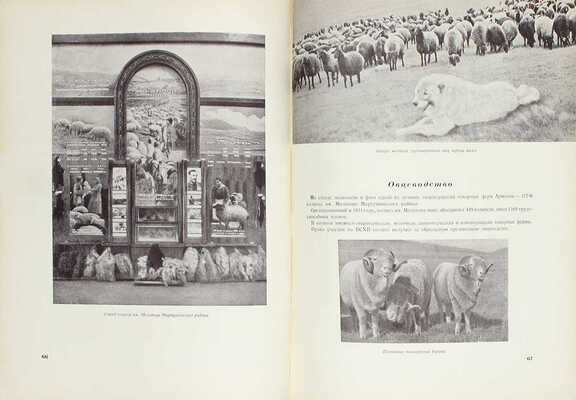 Санников Г.А., Аветисян Г.А. Армянская ССР на Всесоюзной сельско-хозяйственной выставке 1939 года. [Альбом] / Худож. оформ. Я.Д. Егорова. М.: Госкиноиздат, 1940.